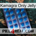 Kamagra Only Jelly viagra2